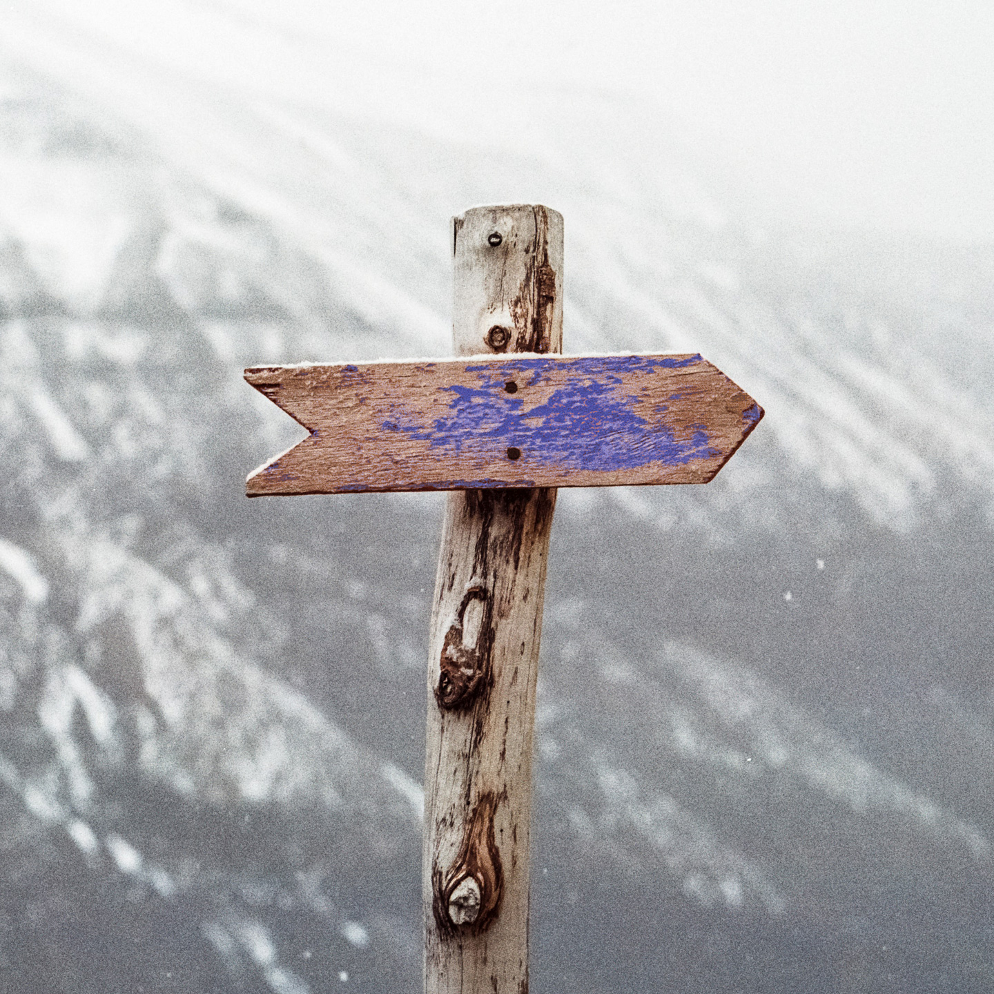 schild, das den Weg zeigt - Business Coaching